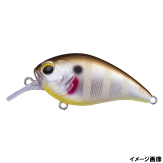 #010 ステインギル