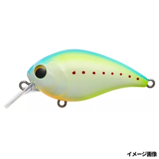 #013 シトラスチャート