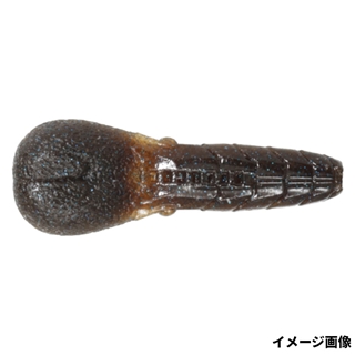 #65 ダークパンプキンBLF