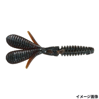 #65 ダークパンプキンBLF