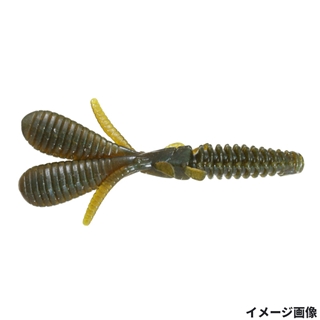 #69 クイシブリパンプキン