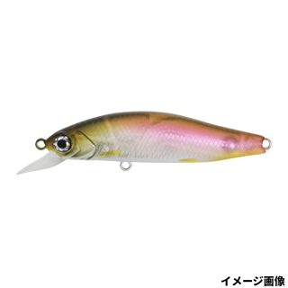 #52 クリアワカサギ