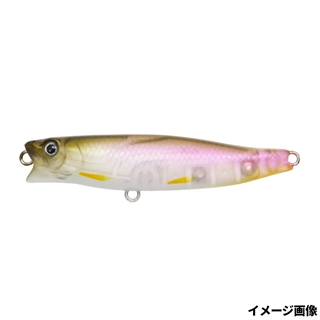 #52 クリアワカサギ