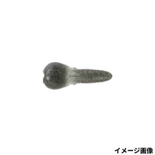 #06 ベビーシャイナー(稚魚)