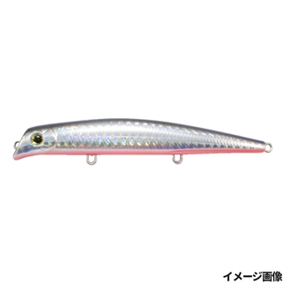 21 ホロダークブルーバックピンクベリー