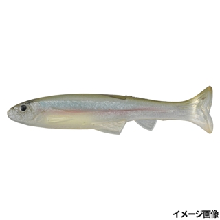 #S-243 リアルイマエワカサギ