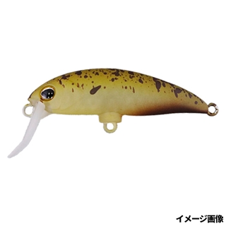 エンドスケパンプキン