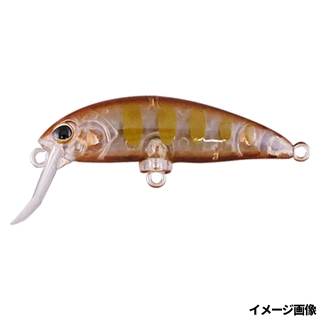 タッキーグローヤマメ