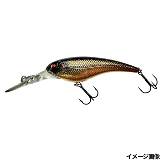 #933 スケールステインゴールド