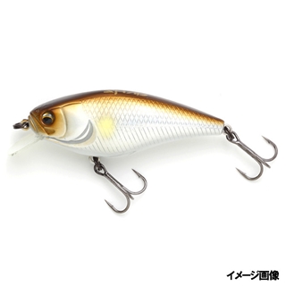 #152 ショーギンアユ