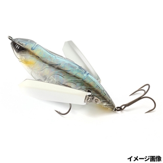 #863 ゴーストミラーハス