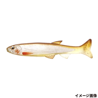 #S-213 ハーフスケルトンカワムツ