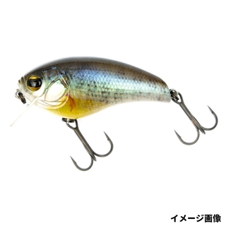 749 3Dゴーストコギル