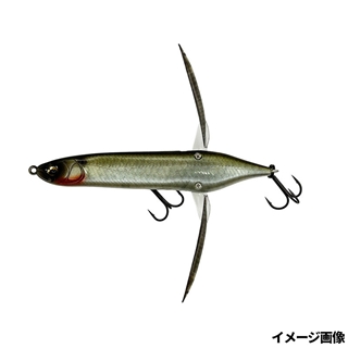 #805 ヘイジーシャッド