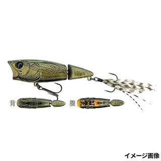 #487 ブラックベアシケーダー