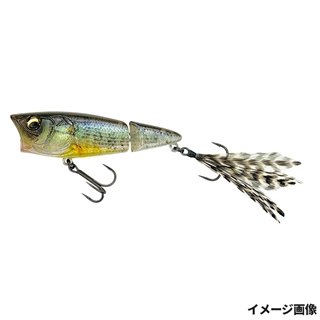 #749 3Dゴーストコギル