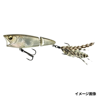 #1029 フラッシュシャッド