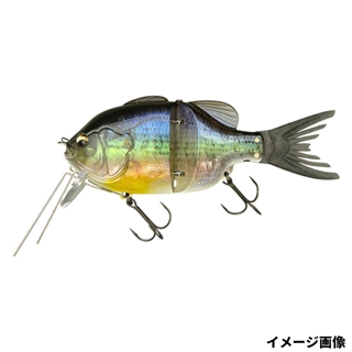 749 3Dゴーストコギル