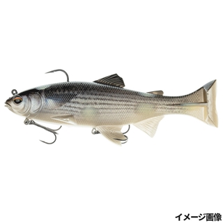 #S-543 3DRカビボラ