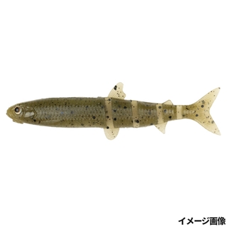 #S-14 グリーンパンプキンペッパー