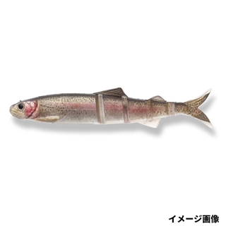 #S-485 3DRレインボートラウト