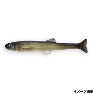 3Dリアリズム #S-484 3DRアユ