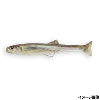 3Dリアリズム #S-572 3DRワカサギ