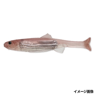 S-584 イマエワカサギ/ナチュラルベリー