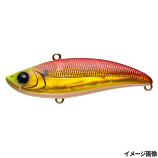 01 アカキンコノシロ