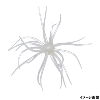 #258 パールホワイト