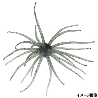 #116 シニカケギル