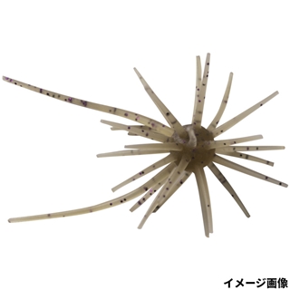 #242 エビダッピ