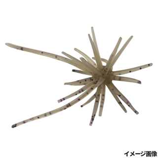 #242 エビダッピ