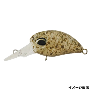C247 フライドクリキントン
