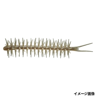 #242 エビダッピ