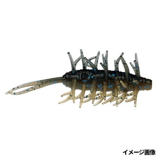 #272 カクレシュリンプ