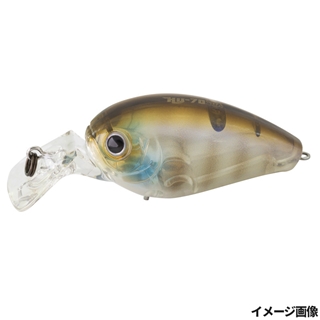 #80 ナチュラルギル