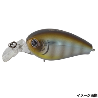 #81 ブラウンフラッシュ