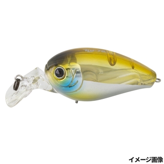 #82 強弱ワカサギ