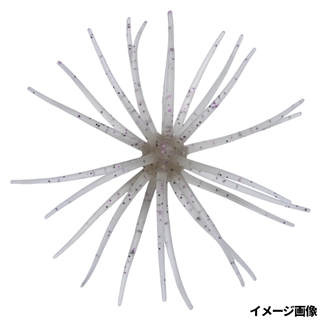 #242 エビダッピ