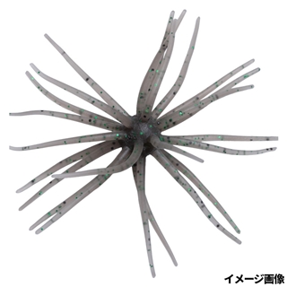 #243 たまらんばいダークシュリンプ