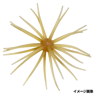 #263 クリリンキントキ