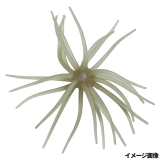 #267 クリアーワカサギ