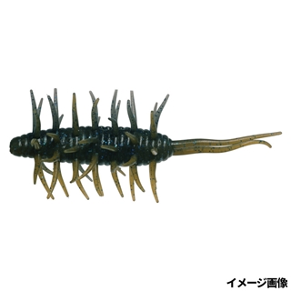 #272 カクレシュリンプ