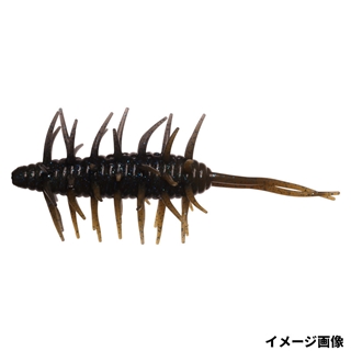 272 カクレシュリンプ