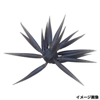 116 シニカケギル