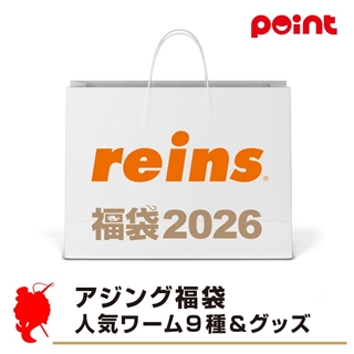 レイン レイン アジング福袋 人気ワーム９種＆グッズ【2026 福袋】人気メーカー福袋