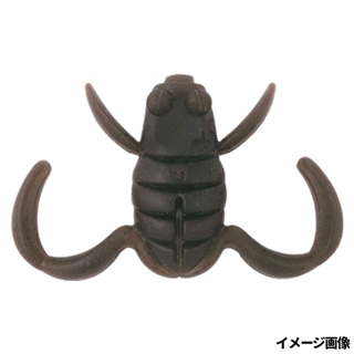 E002 ツチガエル