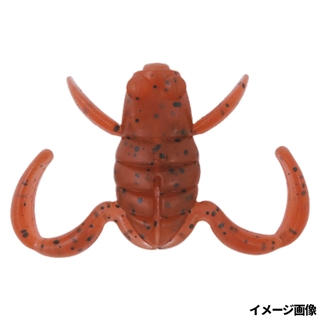 E006 アカガエル