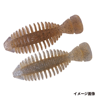 T264 シナモンシャッド